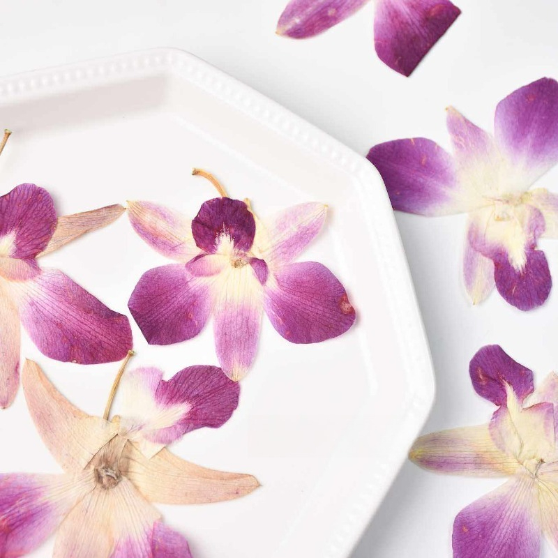 4pcs,Real Pressed Butterfly Or - Resin Art Photo Frame review and price