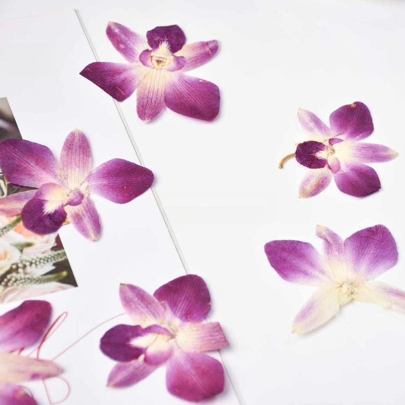 4pcs,Real Pressed Butterfly Or - Resin Art Photo Frame review and price