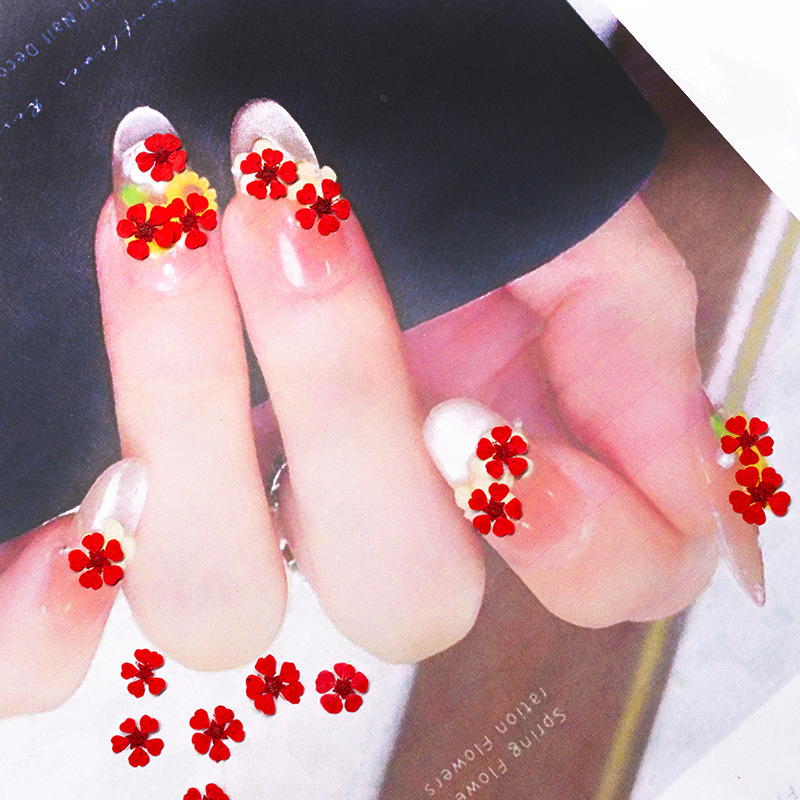 96Pcs Mini 1.5cm Natural Press - Resin Art Photo Frame review and price