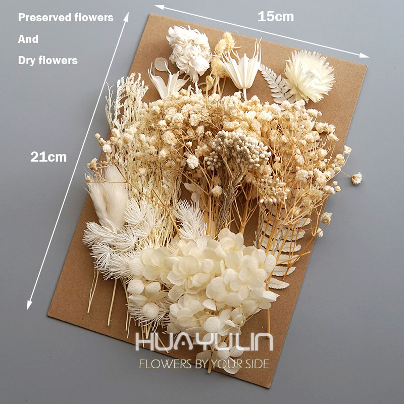 1 Pack Artificial Plants Dried - Resin Art Epoxy review and price
